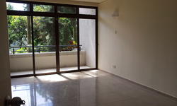 The Balmoral (D10), Condominium #155475832